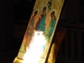 dsc_3500_tn.jpg