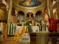 dsc_3586_tn.jpg