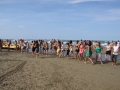 img_0144_tn.jpg