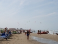 dsc_3684_tn.jpg