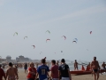 dsc_3686_tn.jpg
