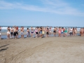 dsc_3690_tn.jpg