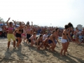 dsc_3703_tn.jpg