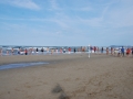 dsc_3741_tn.jpg