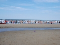 dsc_3742_tn.jpg