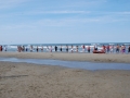 dsc_3743_tn.jpg
