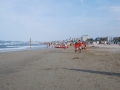 dsc_3777_tn.jpg
