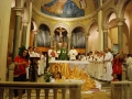 dsc_3840_tn.jpg