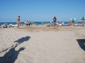 dsc_3915_tn.jpg