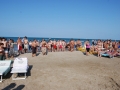 dsc_3935_tn.jpg