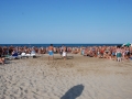 dsc_3988_tn.jpg
