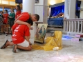 dsc_3889_tn.jpg