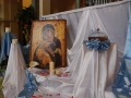 dsc_4038_tn.jpg