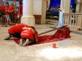 dsc_4050_tn.jpg