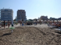 dsc_4195_tn.jpg