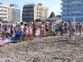 dsc_4231_tn.jpg