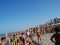 dsc_4250_tn.jpg