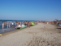 dsc_4267_tn.jpg