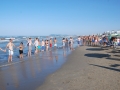 dsc_1287.jpg