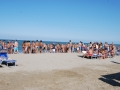 dsc_1342.jpg