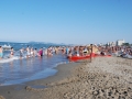 dsc_1381.jpg