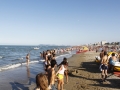 _mg_2856.jpg