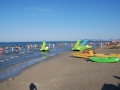 dsc_1530.jpg